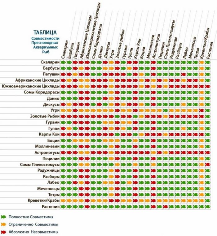 Таблиця сумісності акваріумних рибок фото