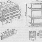 Як спорудити клітки для бройлерів?