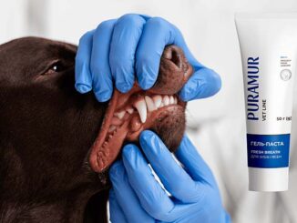 Puramur Fresh Breath для догляду за зубами котів та собак